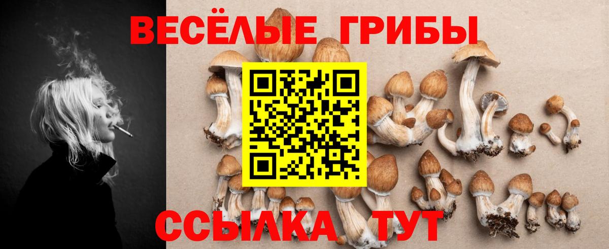 Псилоцибиновые грибы GOLDEN TEACHER Шатура