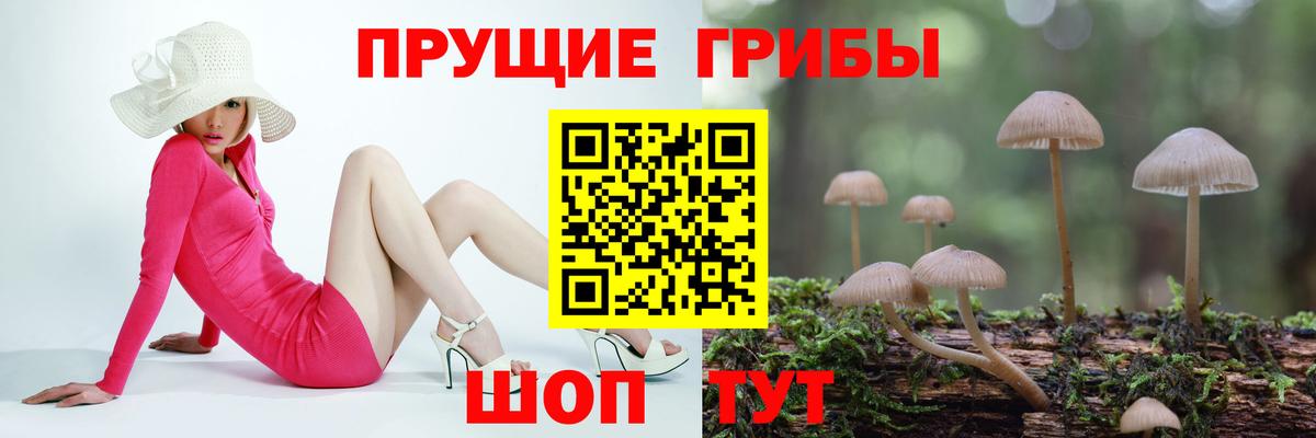 Шатура  Галлюциногенные грибы GOLDEN TEACHER  Вход с VPN  Галлюциногенные грибы MAGIC MUSHROOMS 